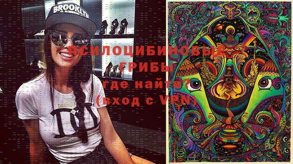 гашик Белоозёрский